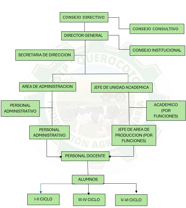Organigrama institucional del IESTP